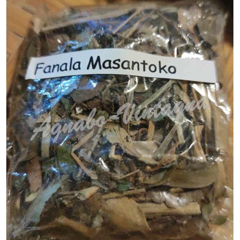 Fagnalana masantoko feuilles