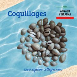 Petits coquillages