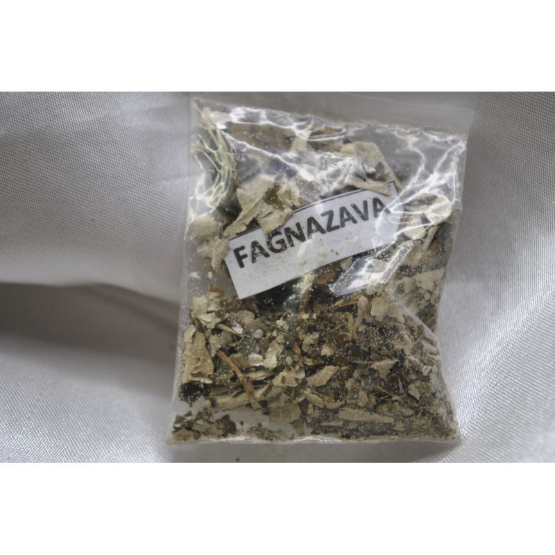 Fagnazava