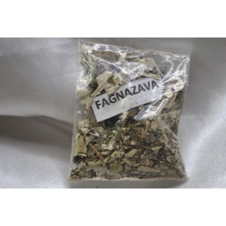 Fagnazava