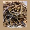 Hasimbola