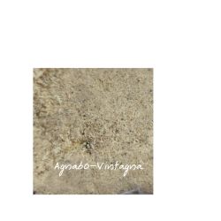 Masimbava miteny poudre