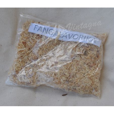 Fagnalana voriky bois