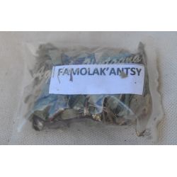 Famolak'antsy